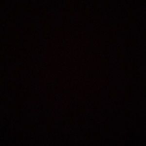 Meet your Posher, Pearl